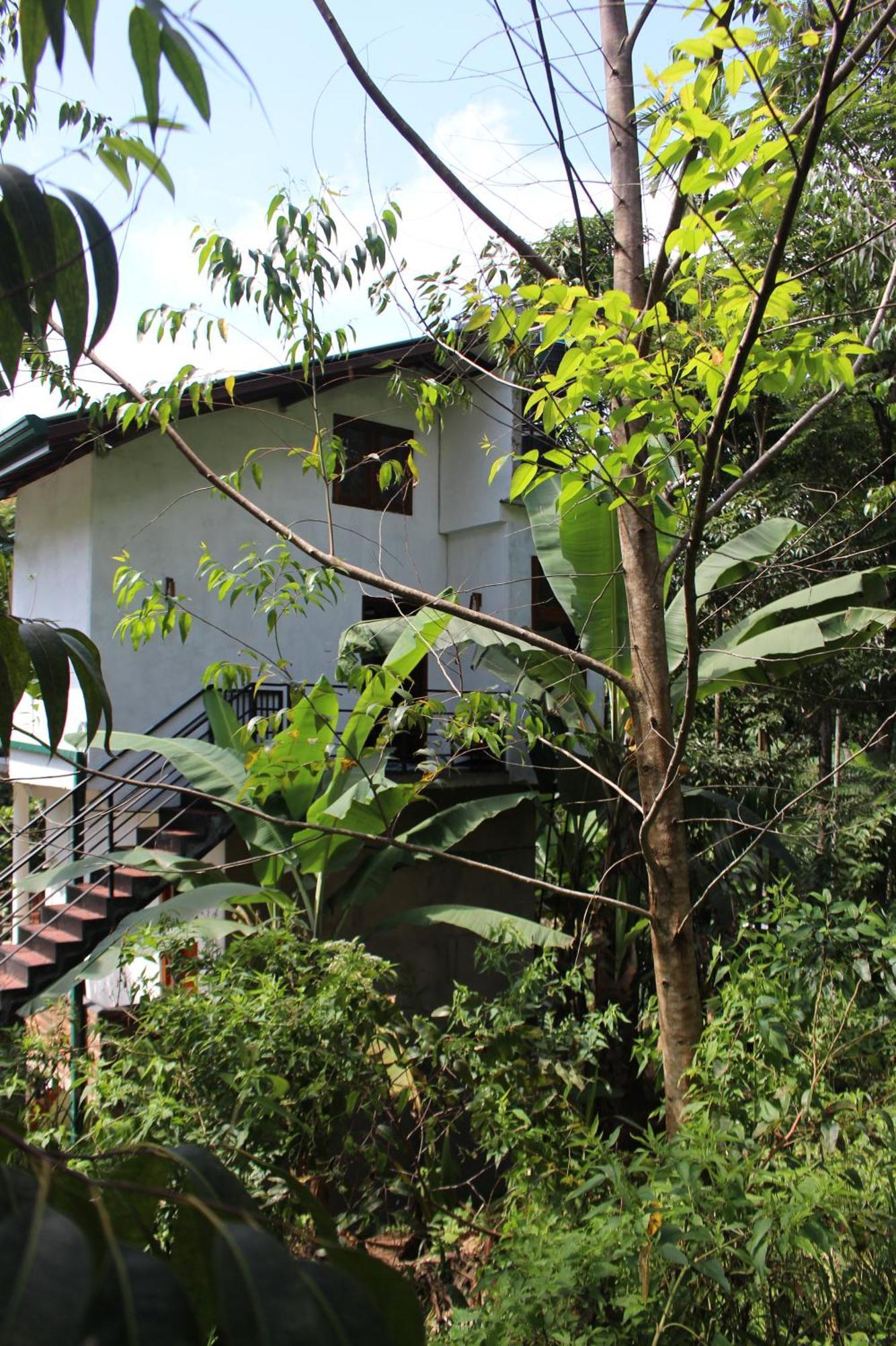 Rest Full Homestay Ella Ngoại thất bức ảnh